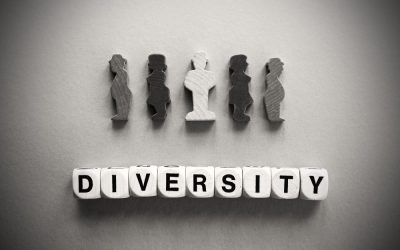 The Diversity Scam