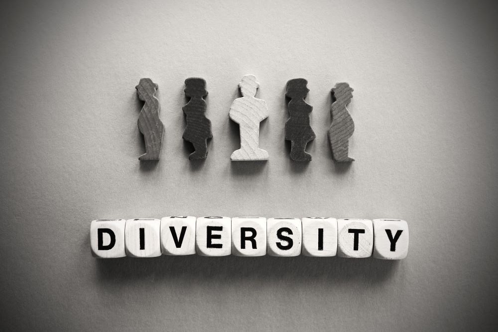 The Diversity Scam